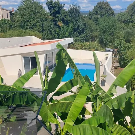 Luxury With Jacuzzi And Swimming Pool Vila