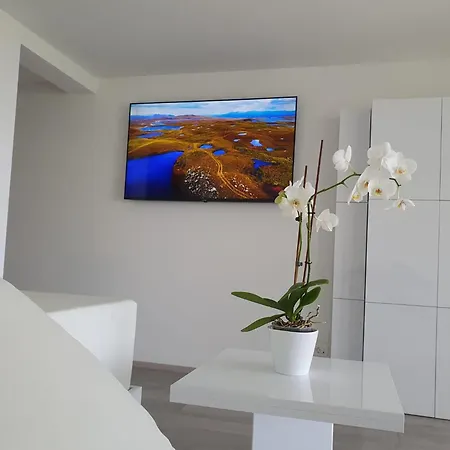 Villa Luxury With Jacuzzi And Swimming Pool Opatija