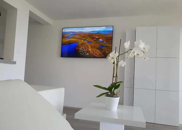 Vila Luxury With Jacuzzi And Swimming Pool Opatija